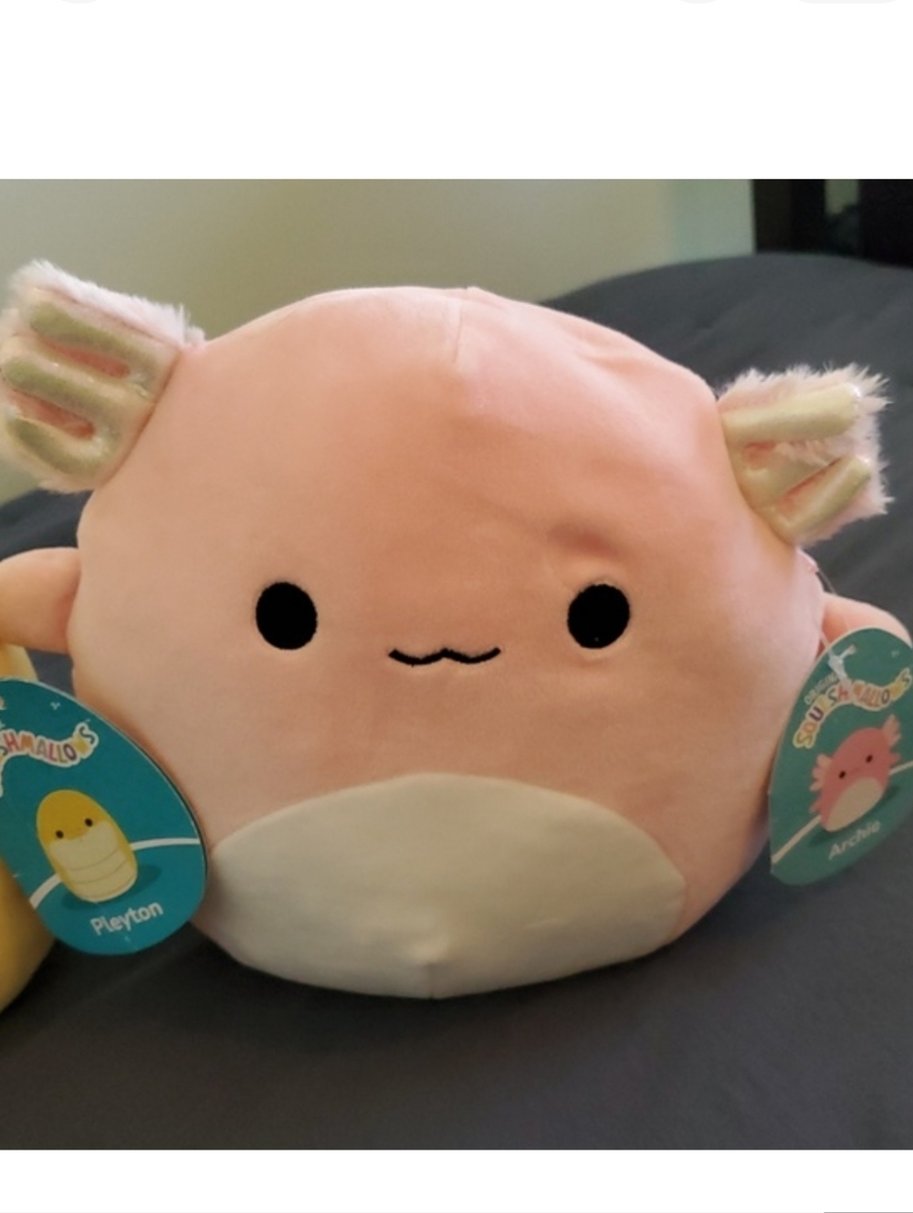 Two Squishmallows